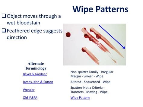 Image result for Swipe Bloodstain Pattern