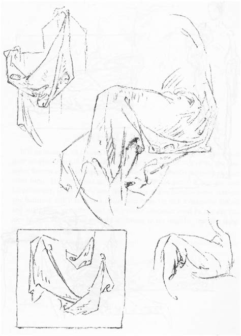 Drape Drawing に対する画像結果