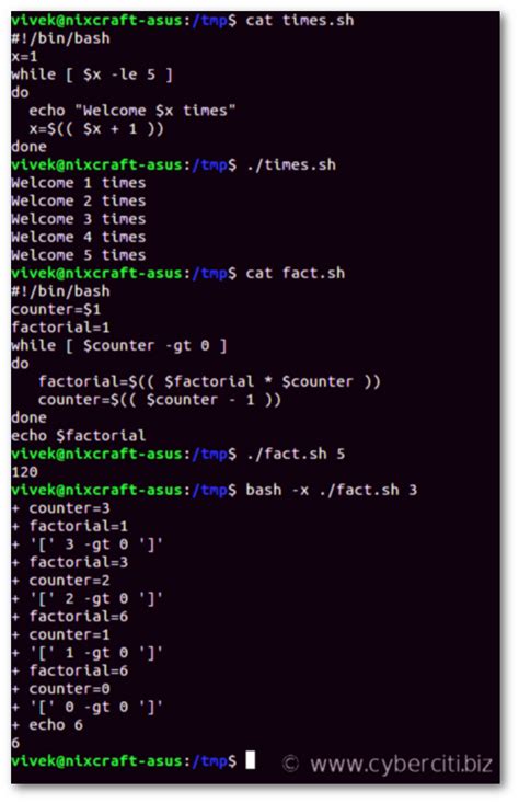 While Loop in If Statement Linux with Functions에 대한 이미지 결과