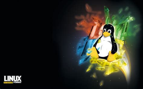 Image result for Linux Penguin Windows Logo