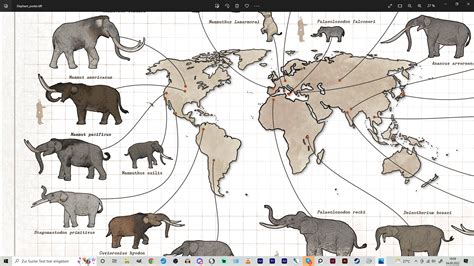 Image result for Elephant Evolution Climatograph