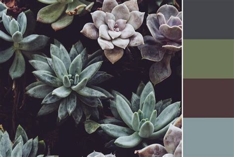 Image result for Unique Color Combinations