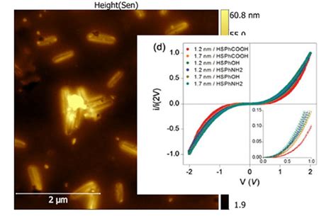 Toradh íomhá ar Raman Spectrometer Atomic Force Microscope