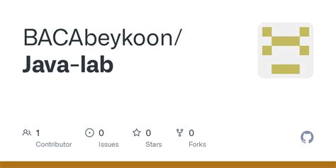 Java Lab に対する画像結果