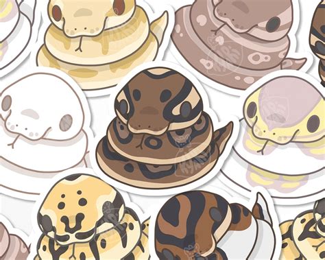 Image result for Cute Ball Python Stickers