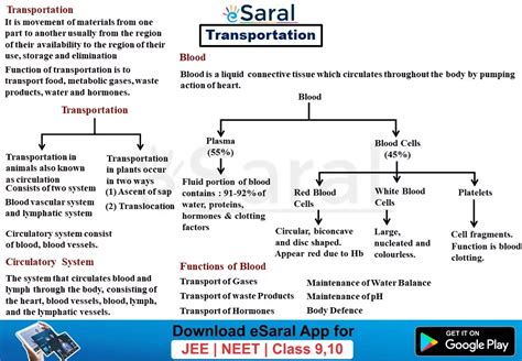 Afbeeldingsresultaten voor Life Process Concept Map Class 10