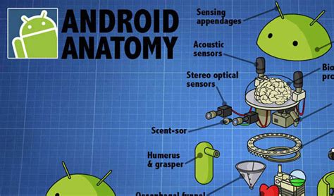 Image result for Humanoid Android Internal Components