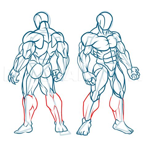 Drawing Basic Muscles On a Person に対する画像結果