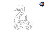 Image result for Along Python Drawing