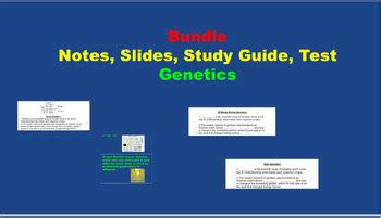 Image result for Genetics Study Guide Worksheet