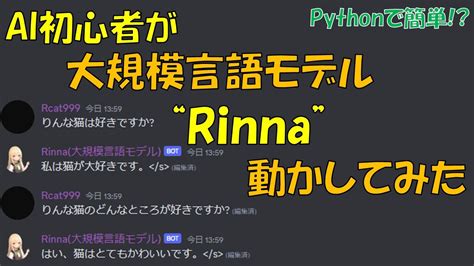 Rina Logical Process Model に対する画像結果
