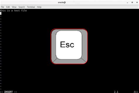 Image result for Example Text File Linux