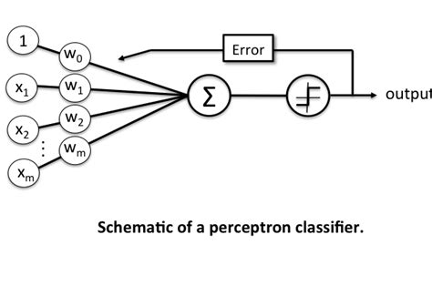 Image result for Percepron Algorithm Flowchart