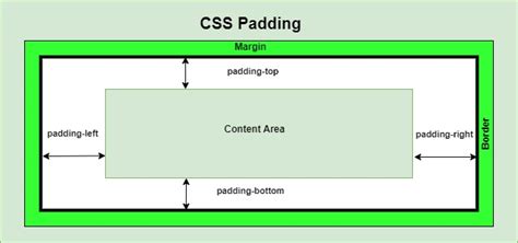Image result for Show Me the Padding in HTML