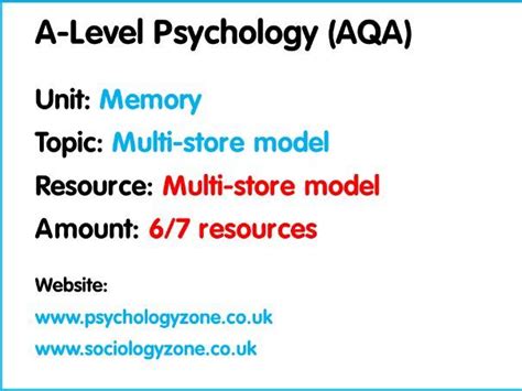 Image result for Multi More Store Model