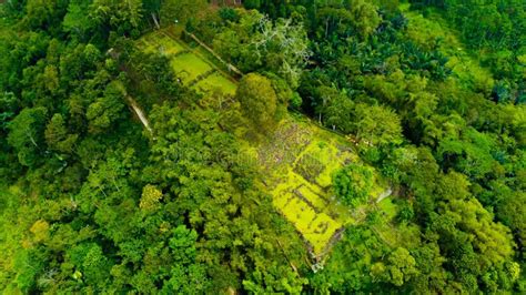 Pyramid Java Programe എന്നതിനുള്ള ഇമേജ് ഫലം