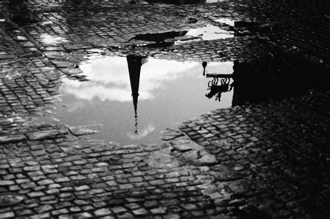 Toradh íomhá ar Black and White Tree Reflection