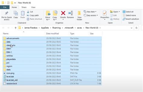 Toradh íomhá ar Minecraft Java World's