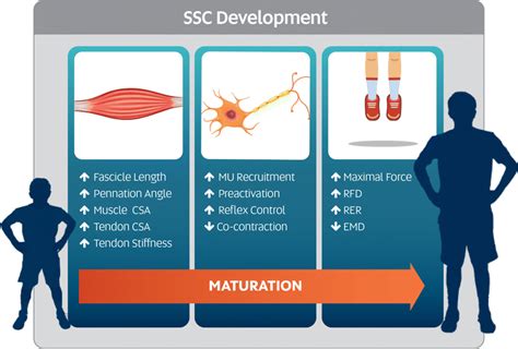 Afbeeldingsresultaten voor Maturation Effect