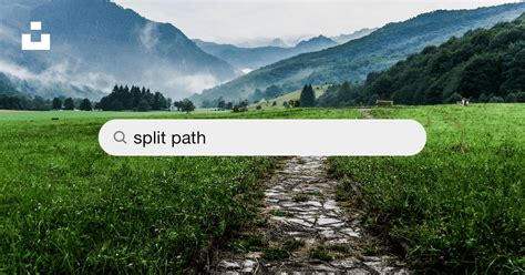 Split-Path Vector に対する画像結果