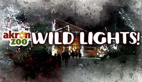 Afbeeldingsresultaten voor Akron Zoo Wild Lights