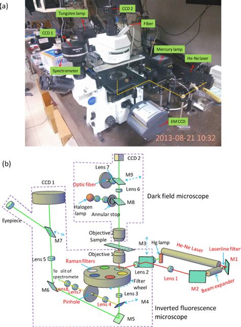 Image result for Microscope Spectrometer Setup