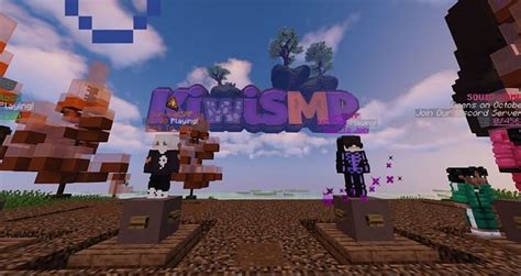 Image result for Sewrver Name for Java SMP