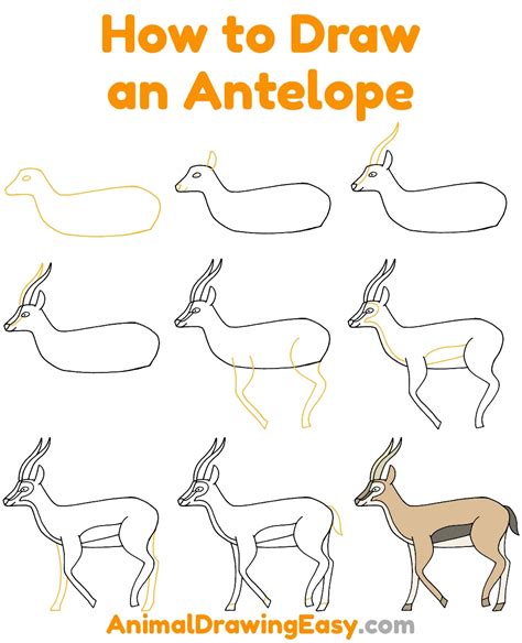 How to Draw an Antelope ಗಾಗಿ ಇಮೇಜ್ ಫಲಿತಾಂಶ