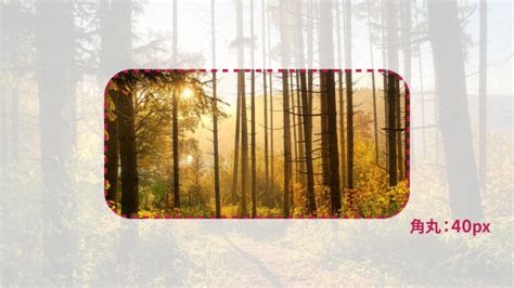 Clip Path Cards Example に対する画像結果