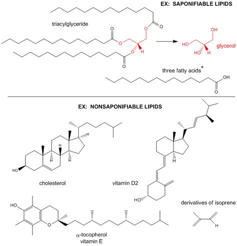 Toradh íomhá ar Lipids Introduction