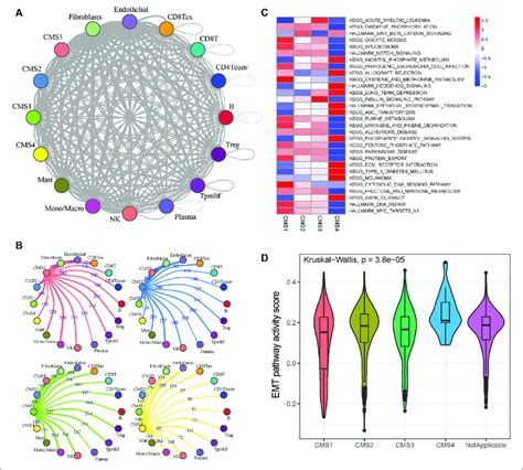 Cell-Cell Interaction Network Visualization に対する画像結果