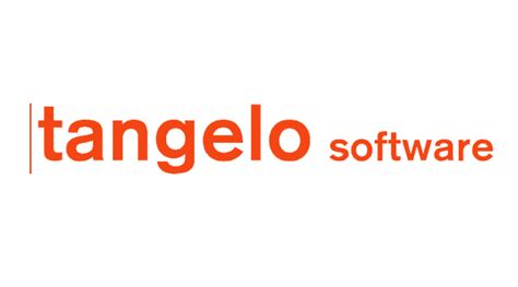 Image result for Tangelo Software Example