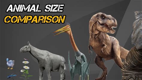 Afbeeldingsresultaten voor Animal Size Comparison Spore