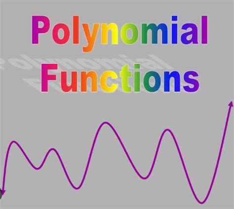 Image result for Math Polynomial Function