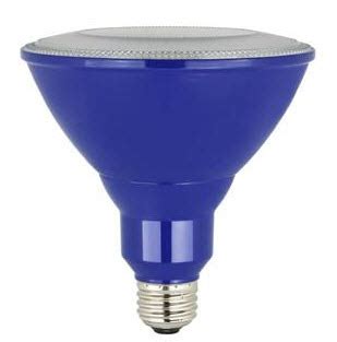 Afbeeldingsresultaten voor LED Blue Flood Light Bulb
