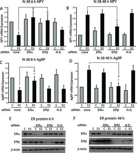 Image result for Agrp Gene Coding Region