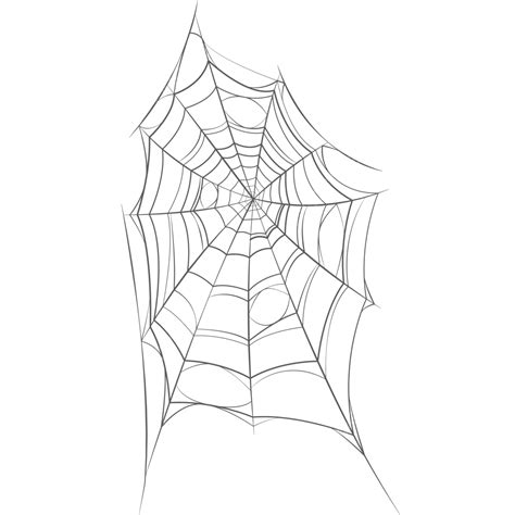 Afbeeldingsresultaten voor Spider Web ID