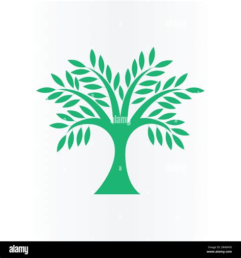 Image result for Verde Tree Logo