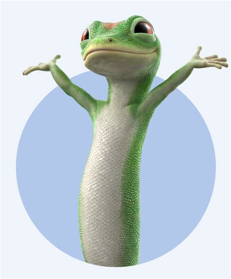 Image result for GEICO Gecko Football