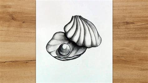 Shell Drawing Realistic కోసం చిత్ర ఫలితం