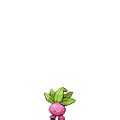 Image result for Odish Valencian Pink Pixelmon