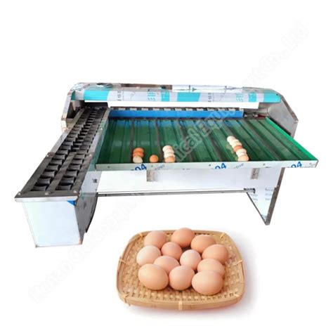 Image result for Egg Sorting Machine Design