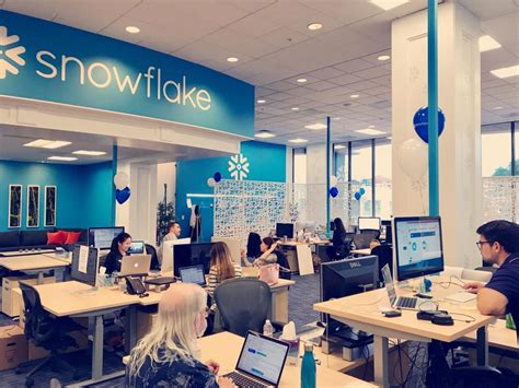 Image result for Snowflake Inc. Review