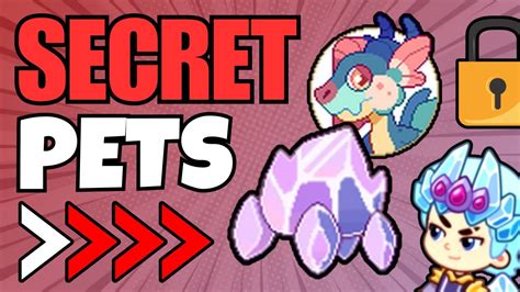 Toradh íomhá ar Prodigy Math Game All Pets