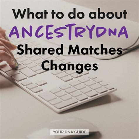 Afbeeldingsresultaten voor Shared Matches On AncestryDNA