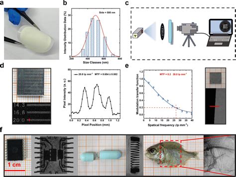 Image result for Halogen Array Imaging