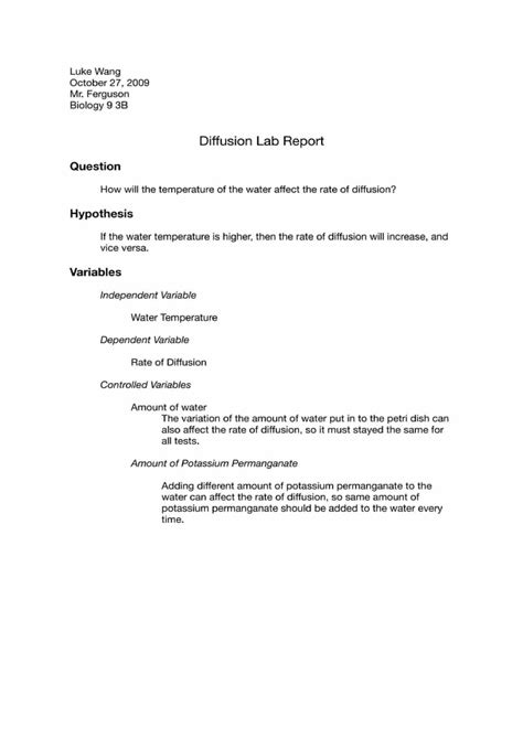 Toradh íomhá ar Diffusion Lab Report Example