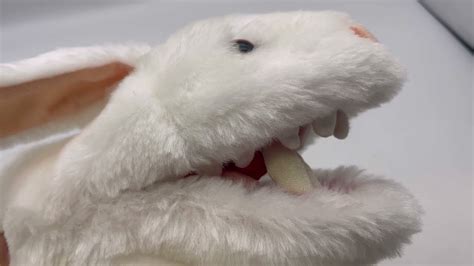 Afbeeldingsresultaten voor Mopnty Python Teeth