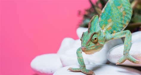 Image result for Color Space Unity