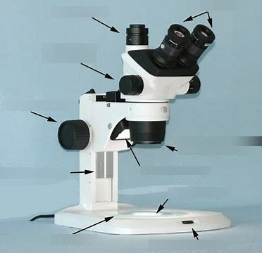 Image result for Stereo Microscope Labeled